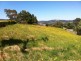 44 Highfield Road, Ambleside TAS 7310