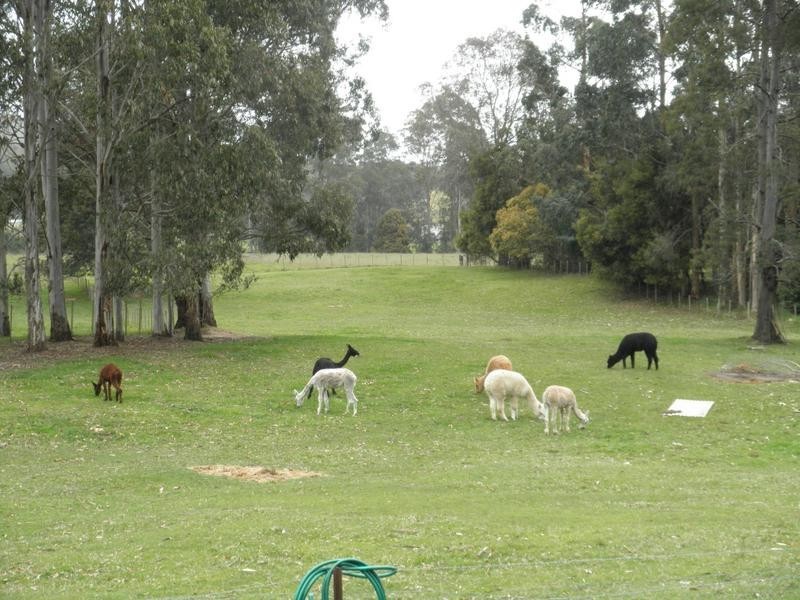 382 Lockwoods Road, Sheffield TAS 7306