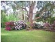 382 Lockwoods Road, Sheffield TAS 7306