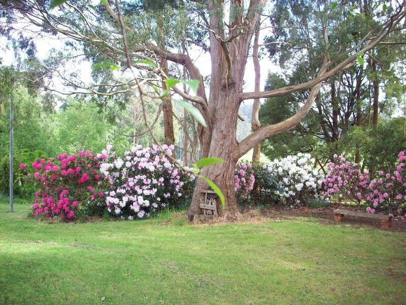 382 Lockwoods Road, Sheffield TAS 7306