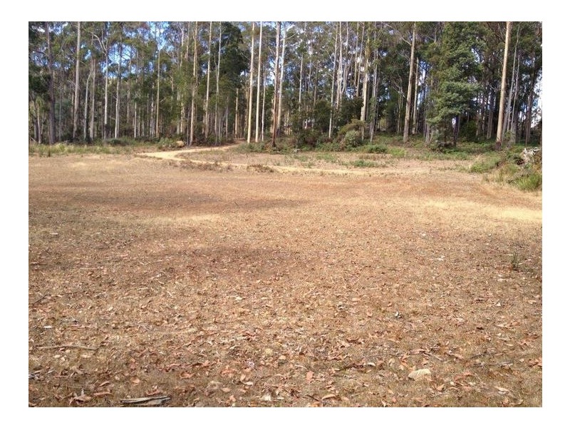 51 Wattle Valley Road, Acacia Hills TAS 7306