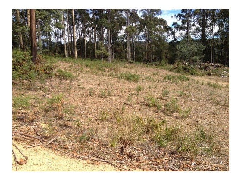 51 Wattle Valley Road, Acacia Hills TAS 7306