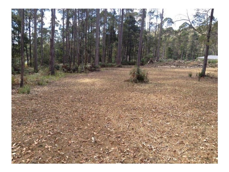 51 Wattle Valley Road, Acacia Hills TAS 7306