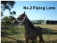2 Piping Lane, East Devonport TAS 7310