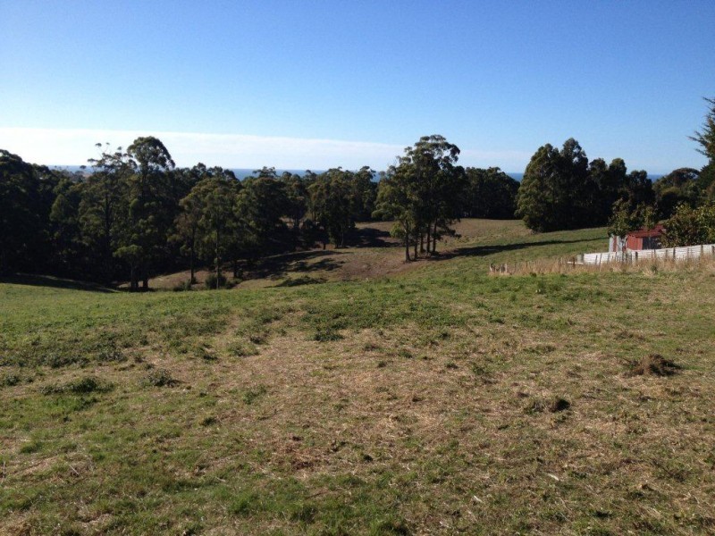 230 Ironcliffe Road, Penguin TAS 7316