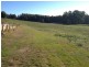 230 Ironcliffe Road, Penguin TAS 7316