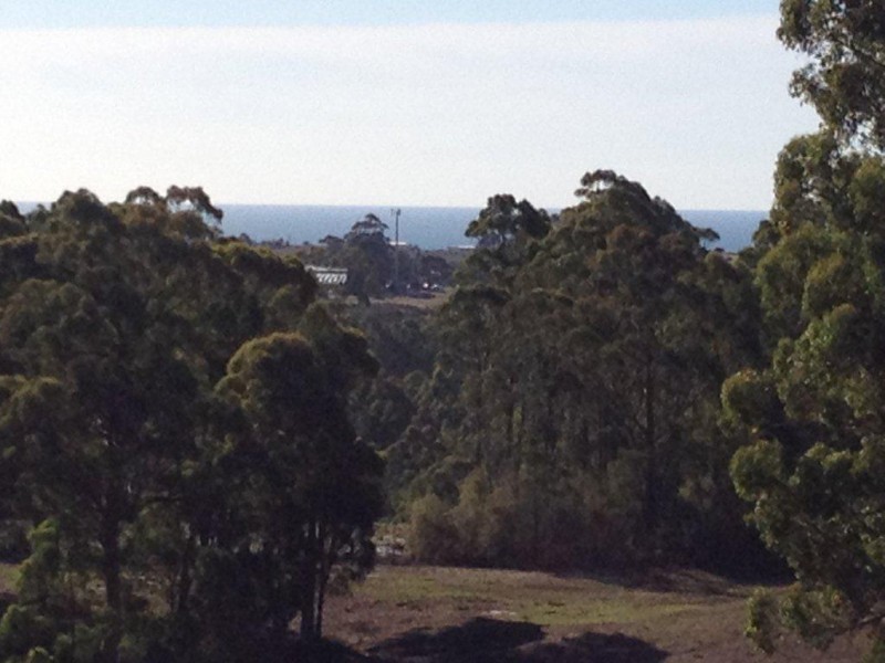230 Ironcliffe Road, Penguin TAS 7316