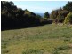 230 Ironcliffe Road, Penguin TAS 7316
