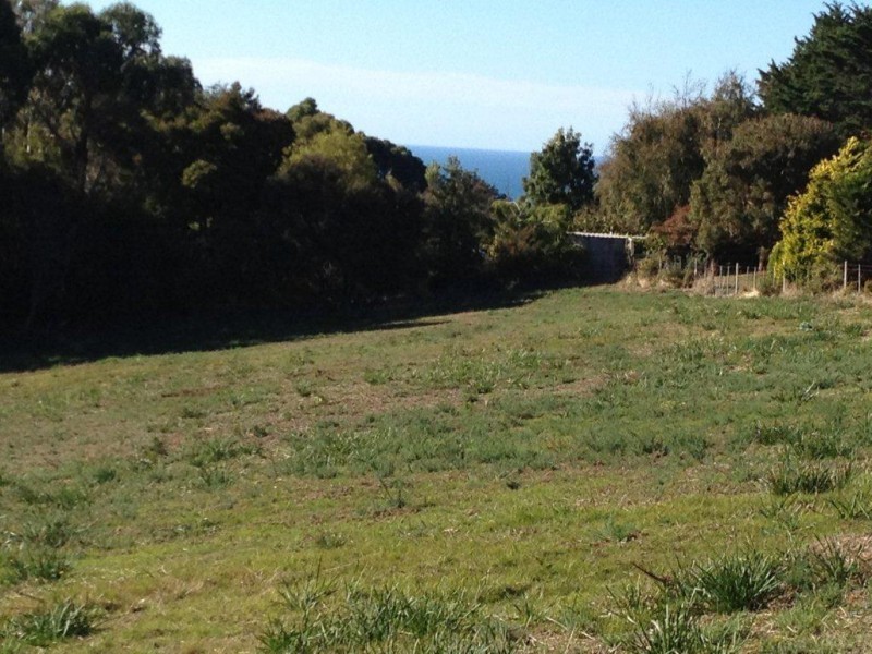 230 Ironcliffe Road, Penguin TAS 7316