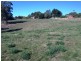 230 Ironcliffe Road, Penguin TAS 7316