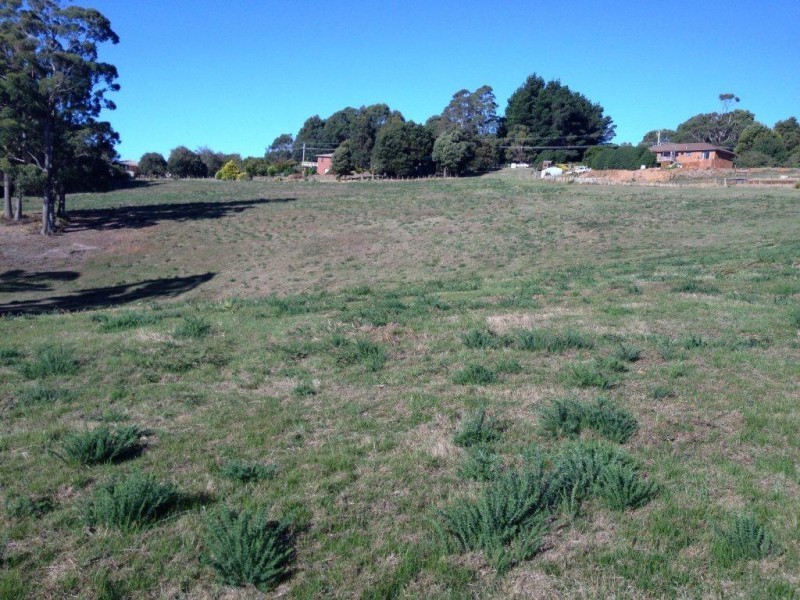 230 Ironcliffe Road, Penguin TAS 7316