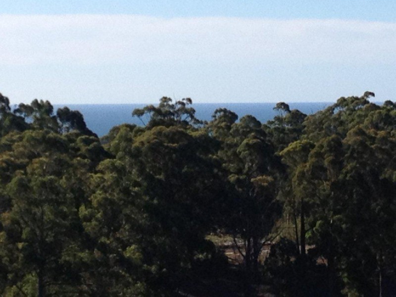 230 Ironcliffe Road, Penguin TAS 7316