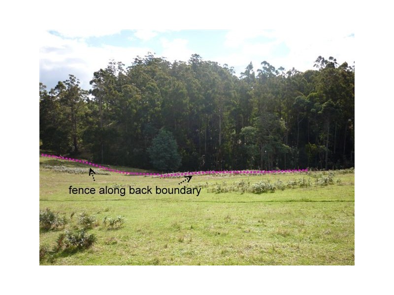 19 Roope Road, Lower Barrington TAS 7306