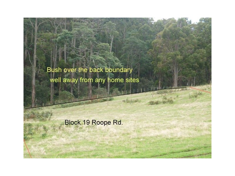 19 Roope Road, Lower Barrington TAS 7306