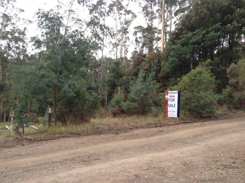 7 Gleadow Lane, Acacia Hills TAS 7306