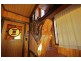 286-288 Thompsons Road, Forth TAS 7310
