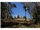 286-288 Thompsons Road, Forth TAS 7310