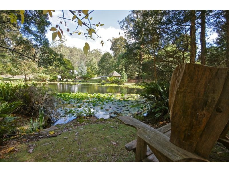 286-288 Thompsons Road, Forth TAS 7310