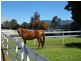 70 Brays Road, Sheffield TAS 7306