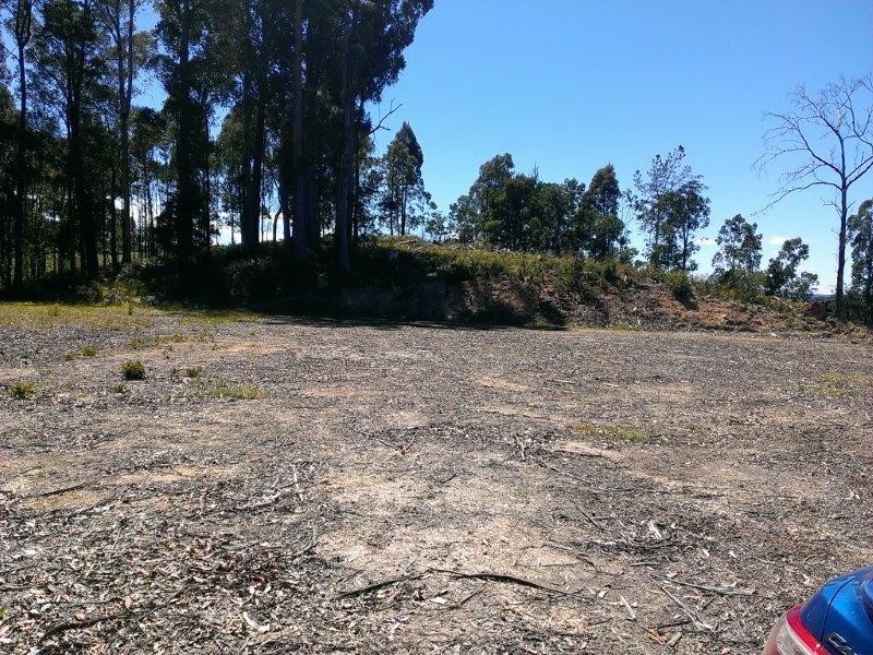 425 Old Paradise Road, Sheffield TAS 7306