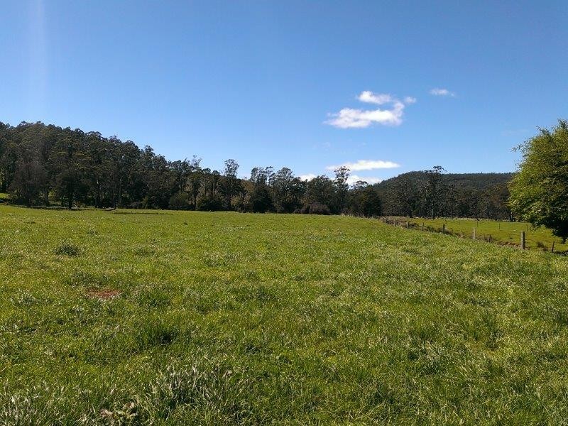 425 Old Paradise Road, Sheffield TAS 7306