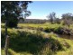425 Old Paradise Road, Sheffield TAS 7306