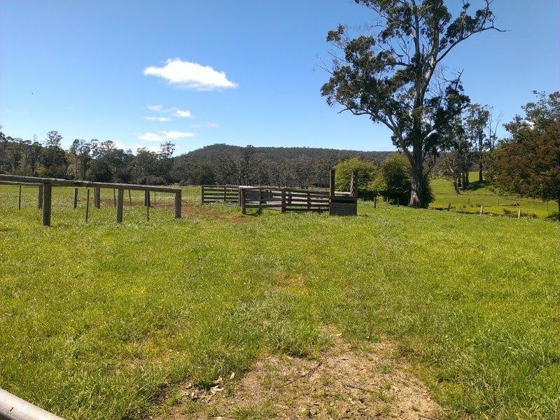 425 Old Paradise Road, Sheffield TAS 7306