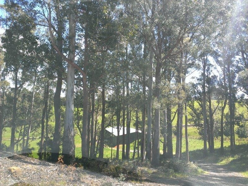 425 Old Paradise Road, Sheffield TAS 7306