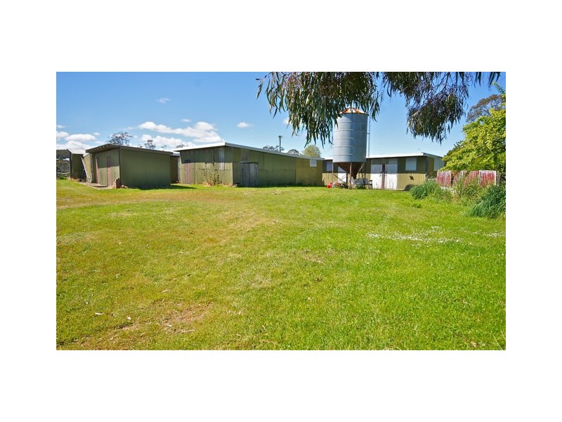 185 Percival Street, Latrobe TAS 7307