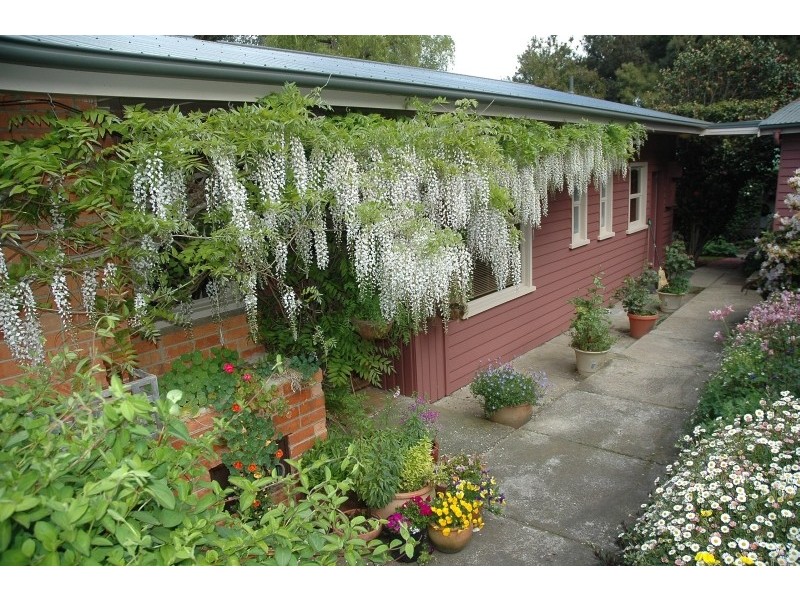 103 Last Street, Latrobe TAS 7307