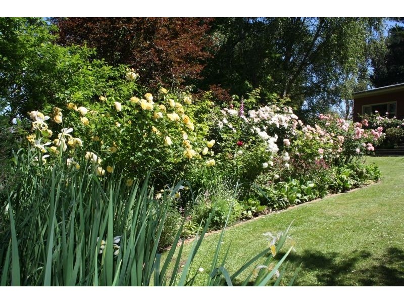 103 Last Street, Latrobe TAS 7307