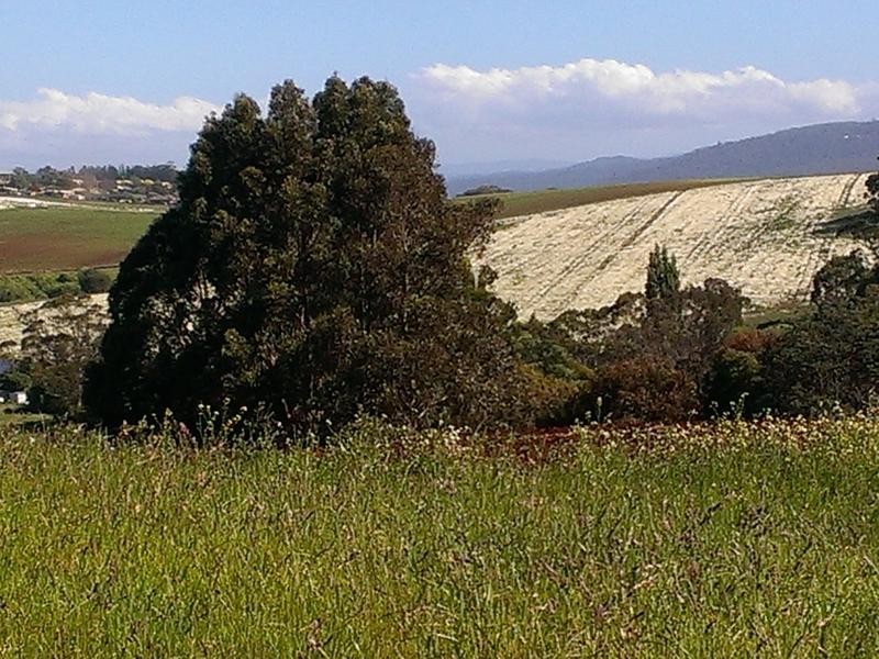 158 Caroline street, East Devonport TAS 7310