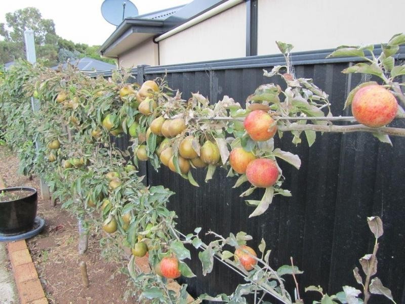 4 Poynton Close, Turners Beach TAS 7315