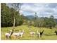 Gunns Plains TAS 7315