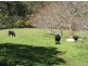 Gunns Plains TAS 7315