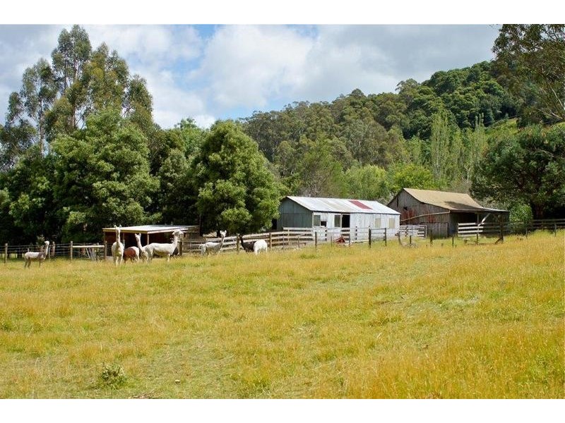 Gunns Plains TAS 7315