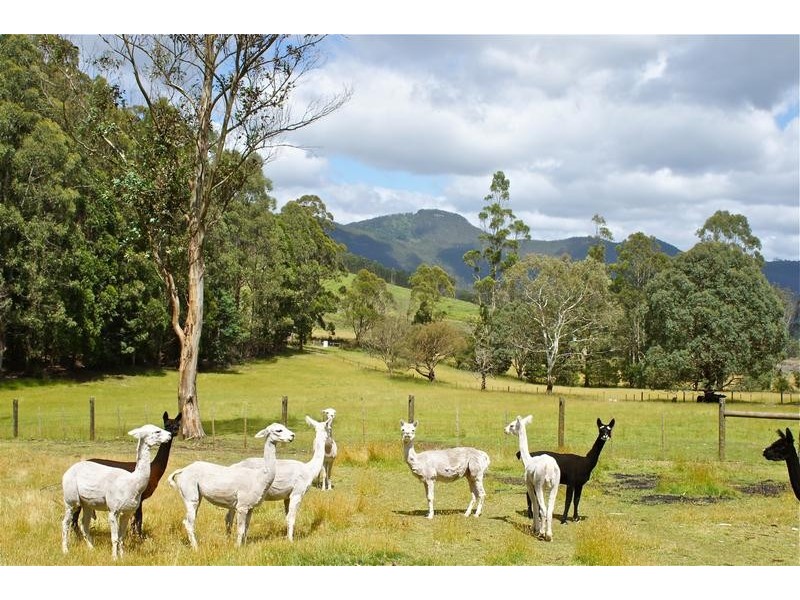 Gunns Plains TAS 7315