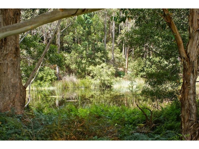 Gunns Plains TAS 7315