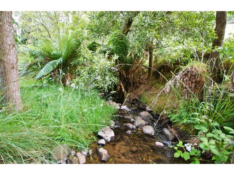 Gunns Plains TAS 7315