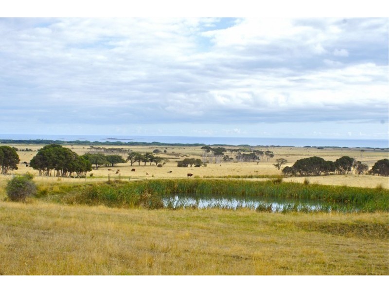 7 Moorland Beach Road, Wesley Vale TAS 7307