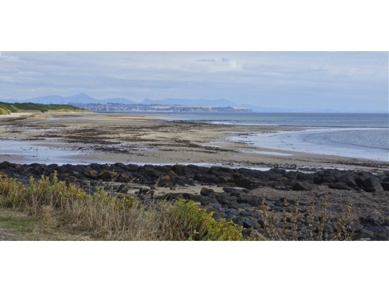 7 Moorland Beach Road, Wesley Vale TAS 7307