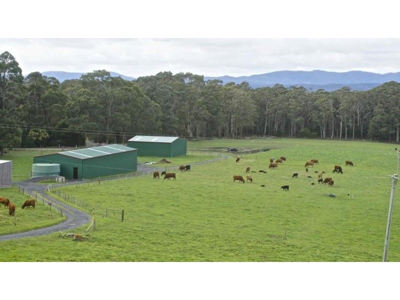 32 Chaplins Road, Northdown TAS 7307