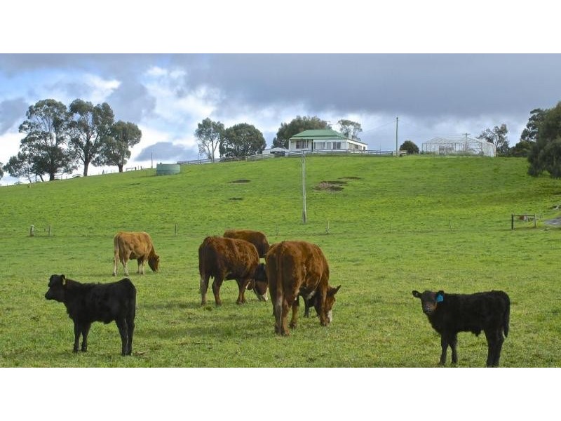 32 Chaplins Road, Northdown TAS 7307