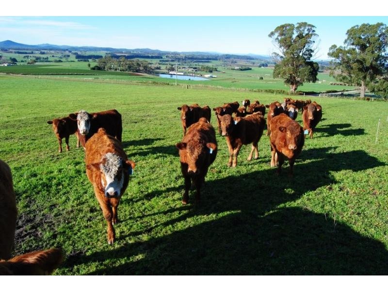 32 Chaplins Road, Northdown TAS 7307