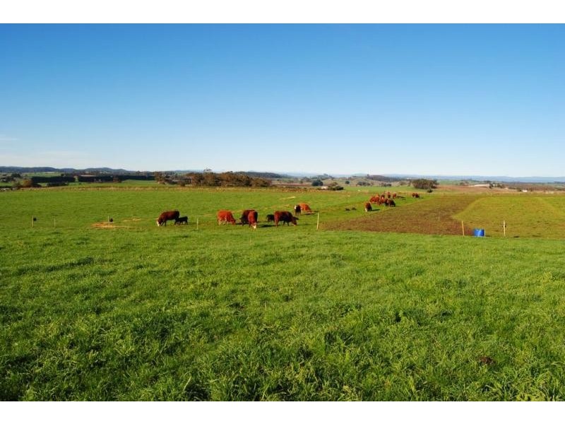 32 Chaplins Road, Northdown TAS 7307