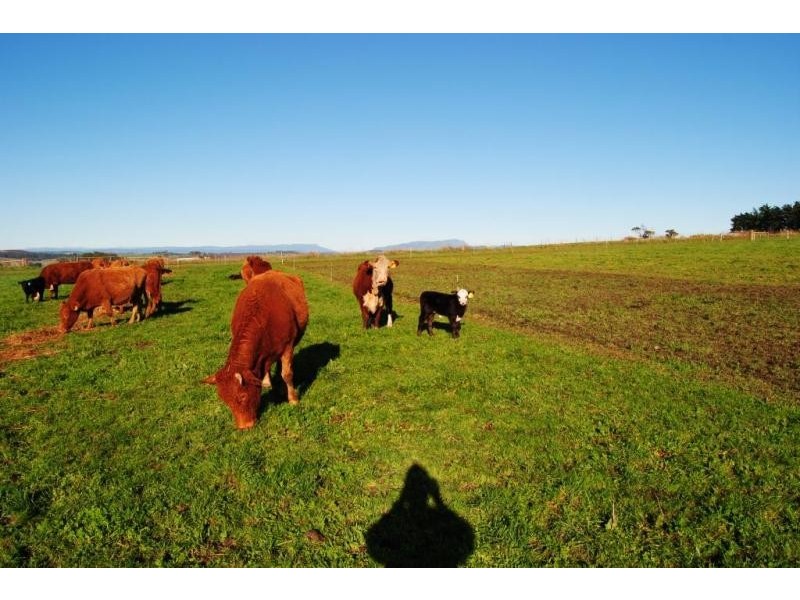 32 Chaplins Road, Northdown TAS 7307