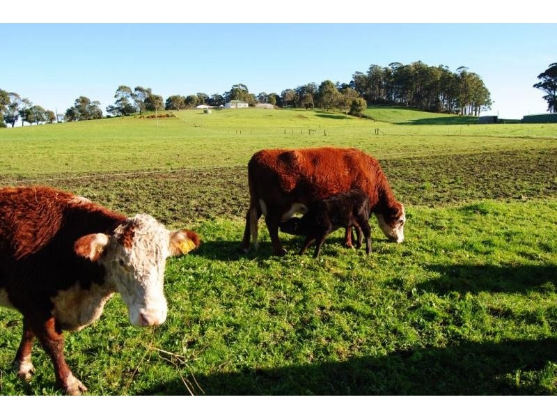 32 Chaplins Road, Northdown TAS 7307