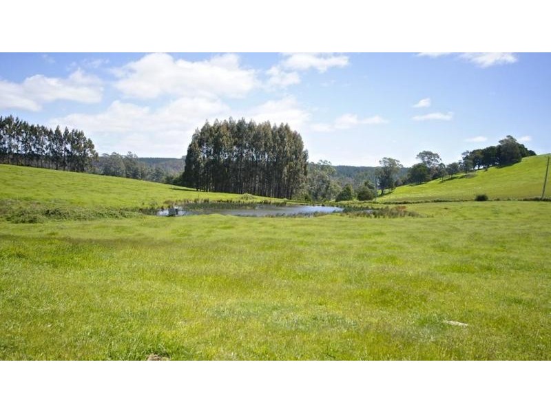 19 Central Castra Road, Sprent TAS 7315