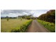 501 Sunnyside Road, Sunnyside TAS 7305