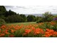 201 Kelcey Tier Road, Spreyton TAS 7310